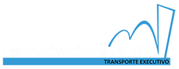 Executive Service BH